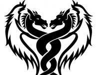 Характеристика мужчин и женщин близнецов в год дракона Земляные драконы скорпион и близнец в семье